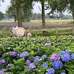Heikant Hoeve Met Jacuzzi Apartamento