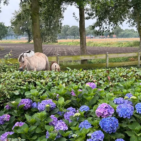 Heikant Hoeve Met Jacuzzi Apartamento