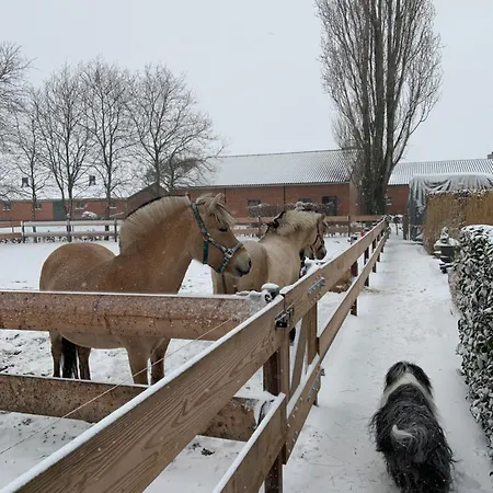 Apartment Heikant Hoeve Met Jacuzzi