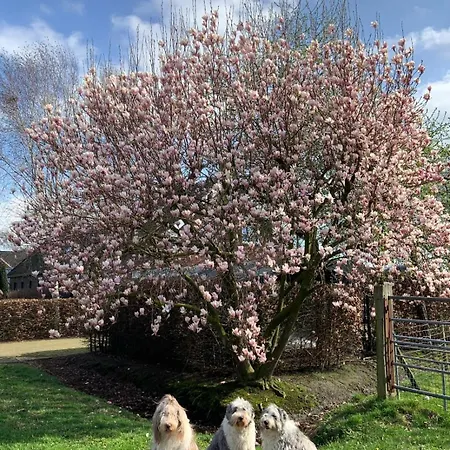 Heikant Hoeve Met Jacuzzi バールレ・ナッサウ