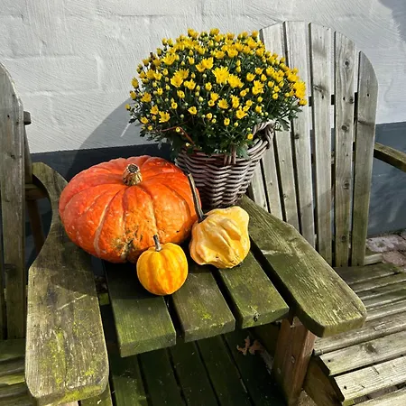 Heikant Hoeve Appartement Baarle-Nassau