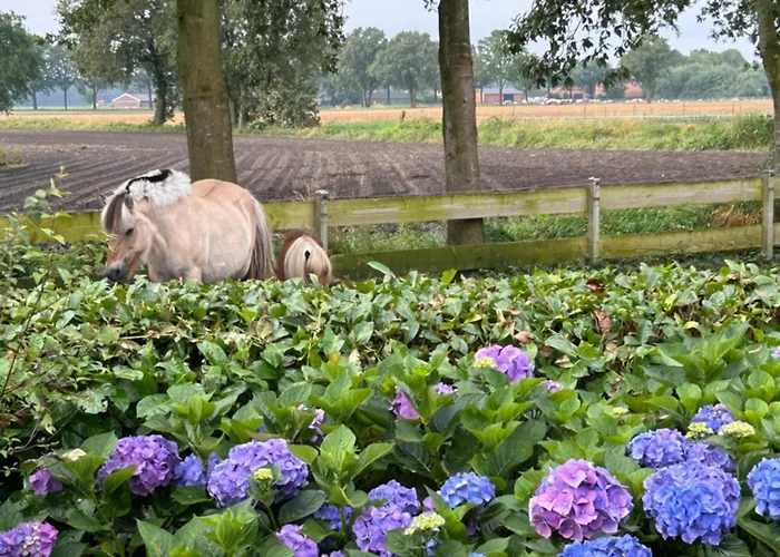 Heikant Hoeve Met Jacuzzi Apartment