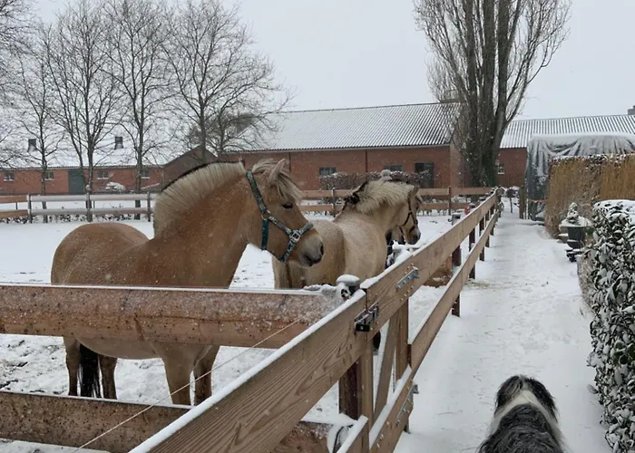 Apartman Heikant Hoeve Met Jacuzzi