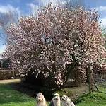 Heikant Hoeve Met Jacuzzi בארלה-נוסאו
