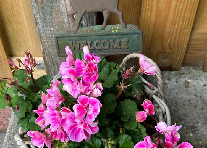 Heikant Hoeve Met Jacuzzi * בארלה-נוסאו