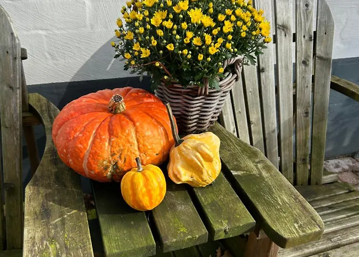 Heikant Hoeve Met Jacuzzi דירה בארלה-נוסאו