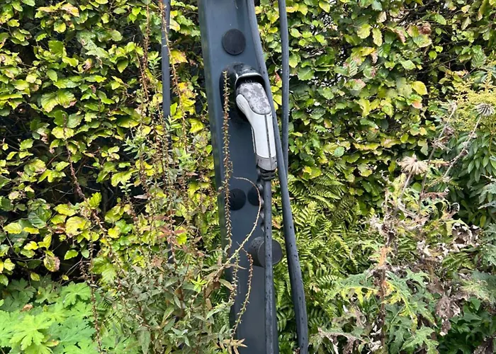 Heikant Hoeve Met Jacuzzi דירה